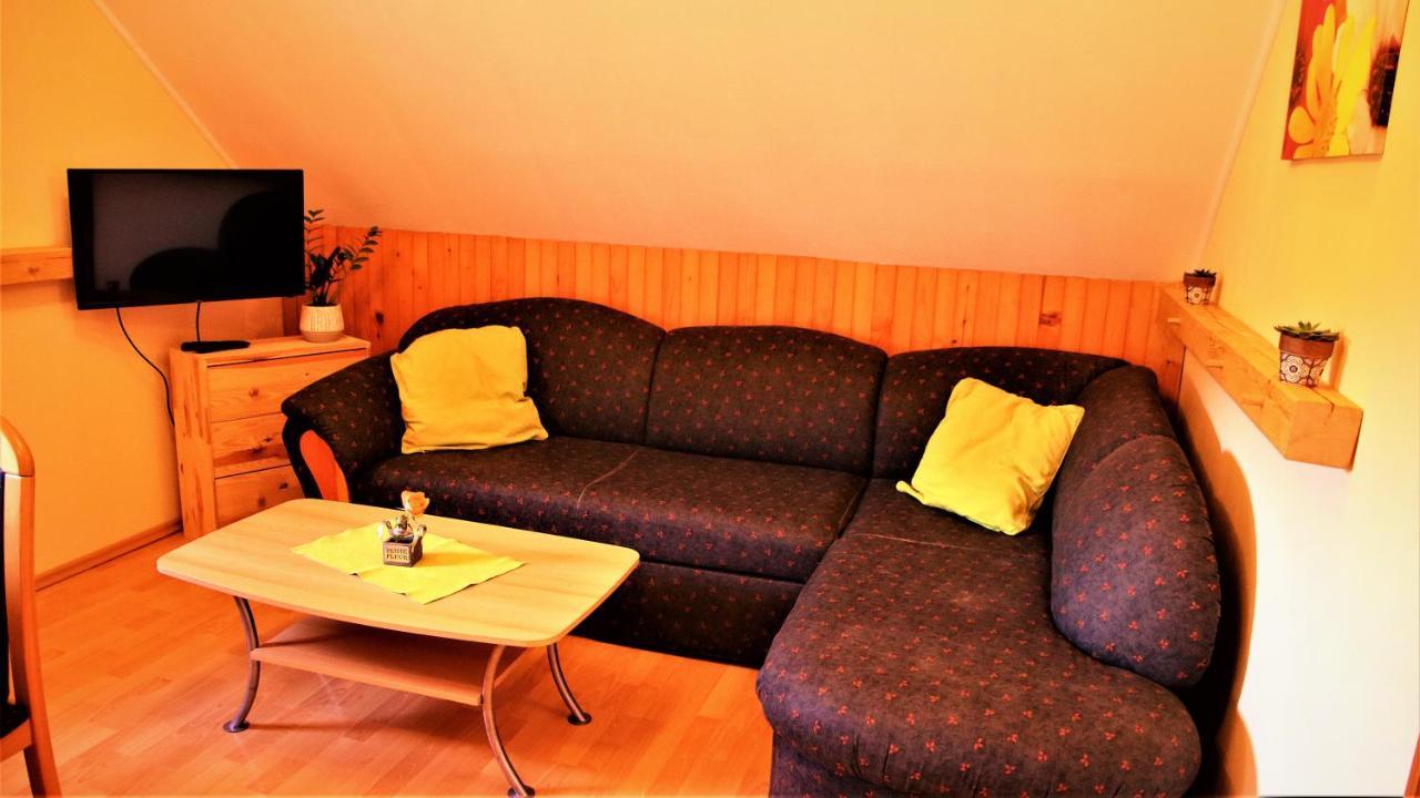 Apartment Rozika Slovenj Gradec Εξωτερικό φωτογραφία