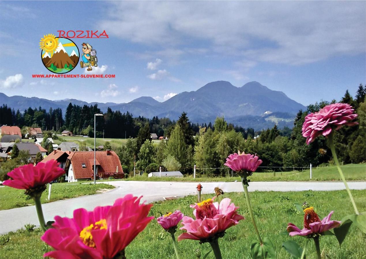 Apartment Rozika Slovenj Gradec Εξωτερικό φωτογραφία