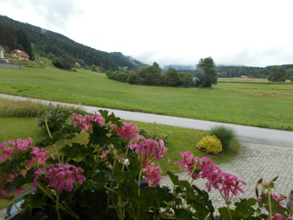 Apartment Rozika Slovenj Gradec Εξωτερικό φωτογραφία